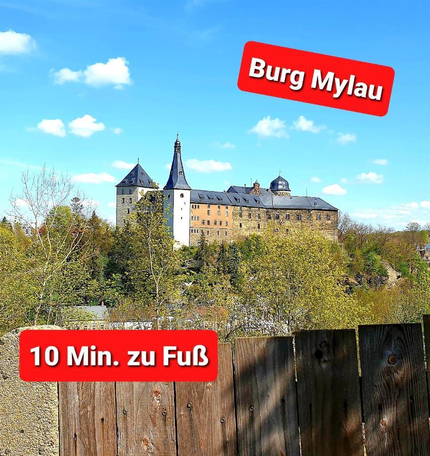 Ferienwohnung "Blick Mylau" - Naehe Freizeitpark Plohn & Weltgroesster Ziegelsteinbruecke ライヒェンバッハ・イム・フォークトラント エクステリア 写真