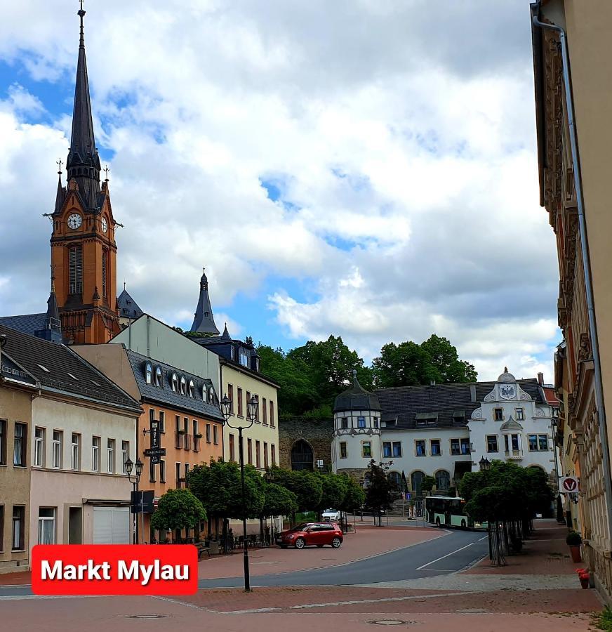 Ferienwohnung "Blick Mylau" - Naehe Freizeitpark Plohn & Weltgroesster Ziegelsteinbruecke ライヒェンバッハ・イム・フォークトラント エクステリア 写真