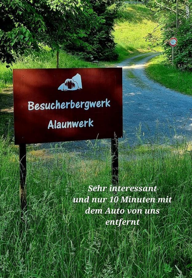 Ferienwohnung "Blick Mylau" - Naehe Freizeitpark Plohn & Weltgroesster Ziegelsteinbruecke ライヒェンバッハ・イム・フォークトラント エクステリア 写真