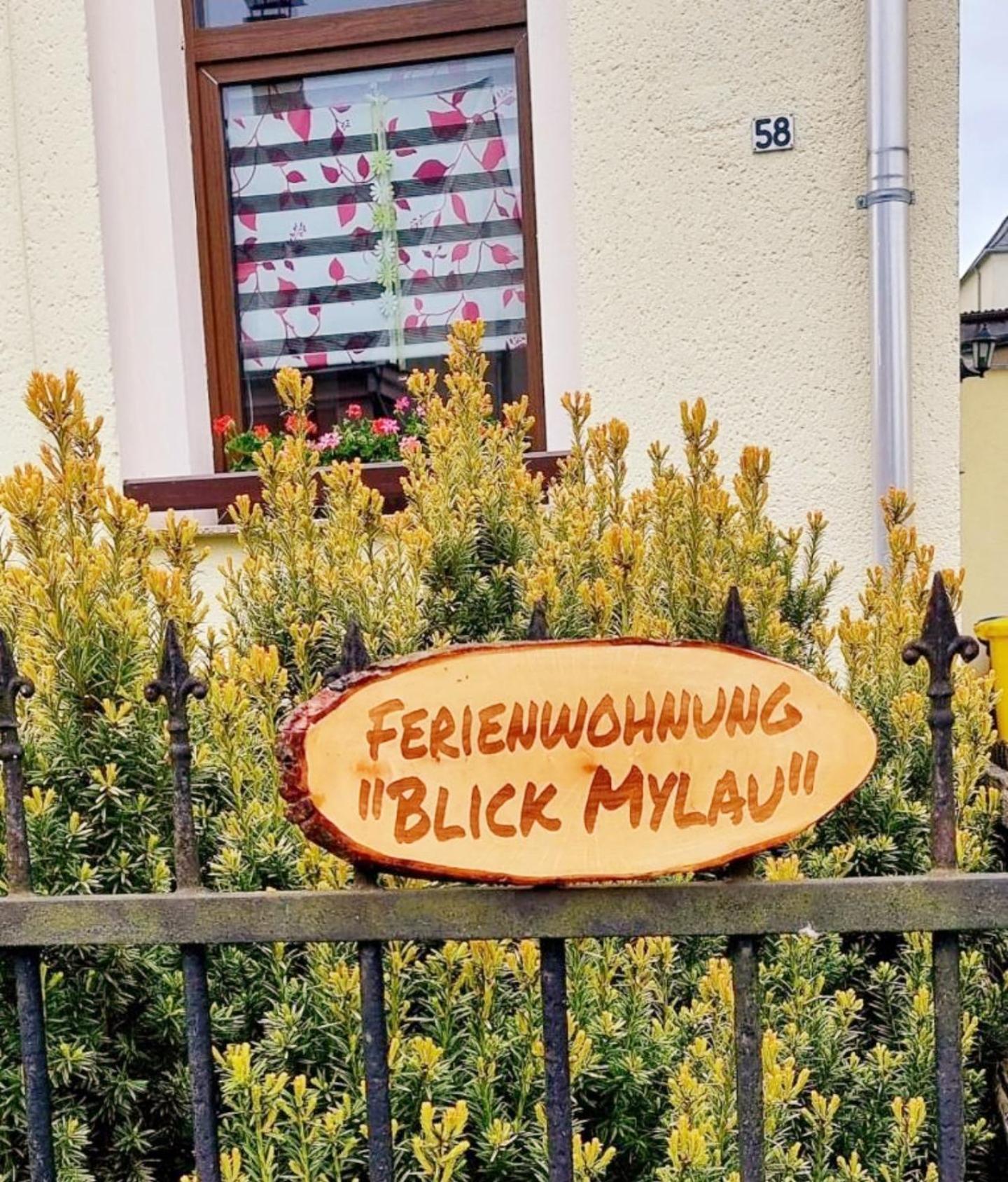 Ferienwohnung "Blick Mylau" - Naehe Freizeitpark Plohn & Weltgroesster Ziegelsteinbruecke ライヒェンバッハ・イム・フォークトラント エクステリア 写真